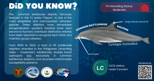 Read more about the article Common Bottlenose Dolphin