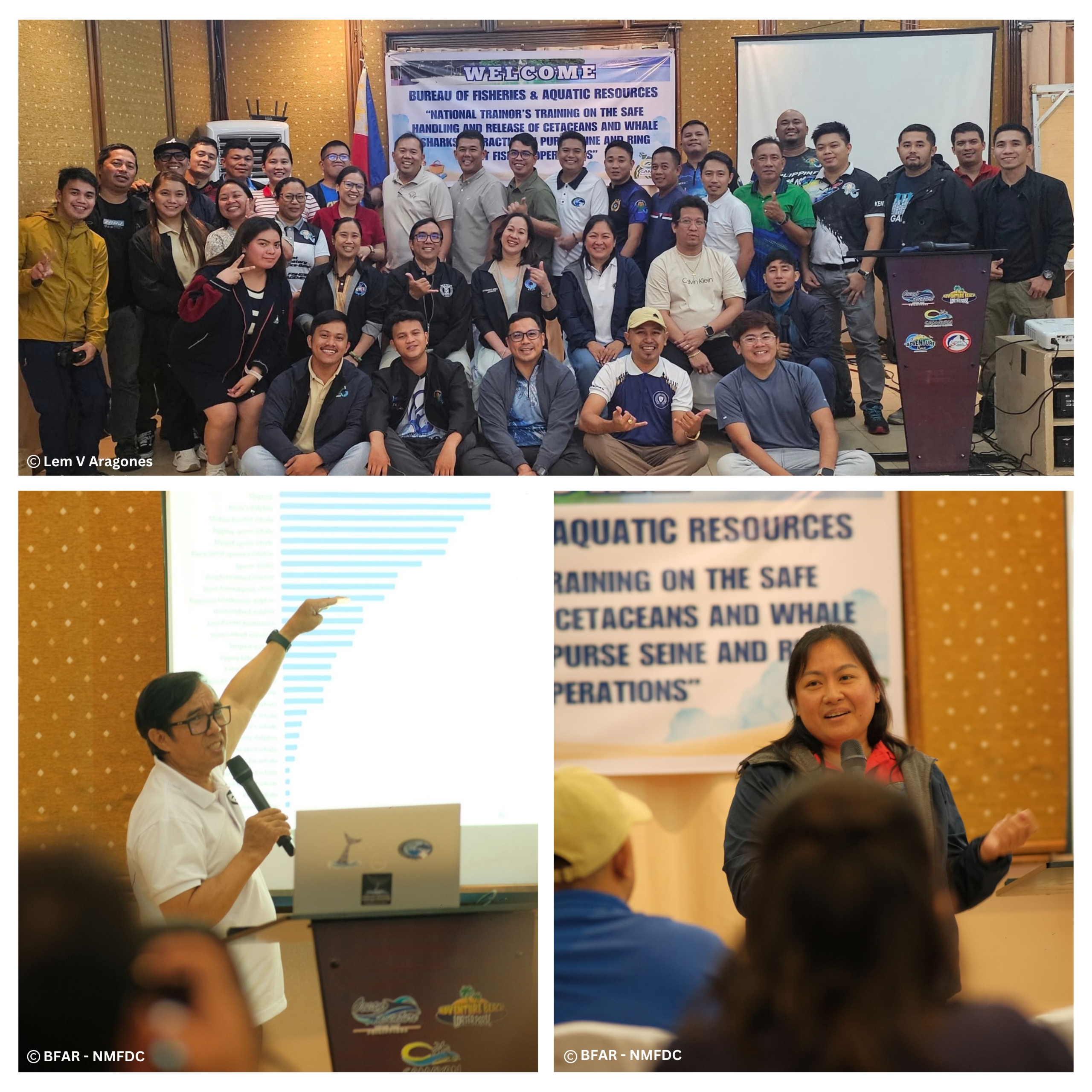 Capacity Building for Marine Megafauna Conservation: IESM and BFAR-NMFDC Conduct National Trainer’s Training