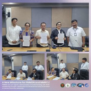 Read more about the article PMMSN, BFAR Formalize Partnership for Marine Mammal Protection and Research